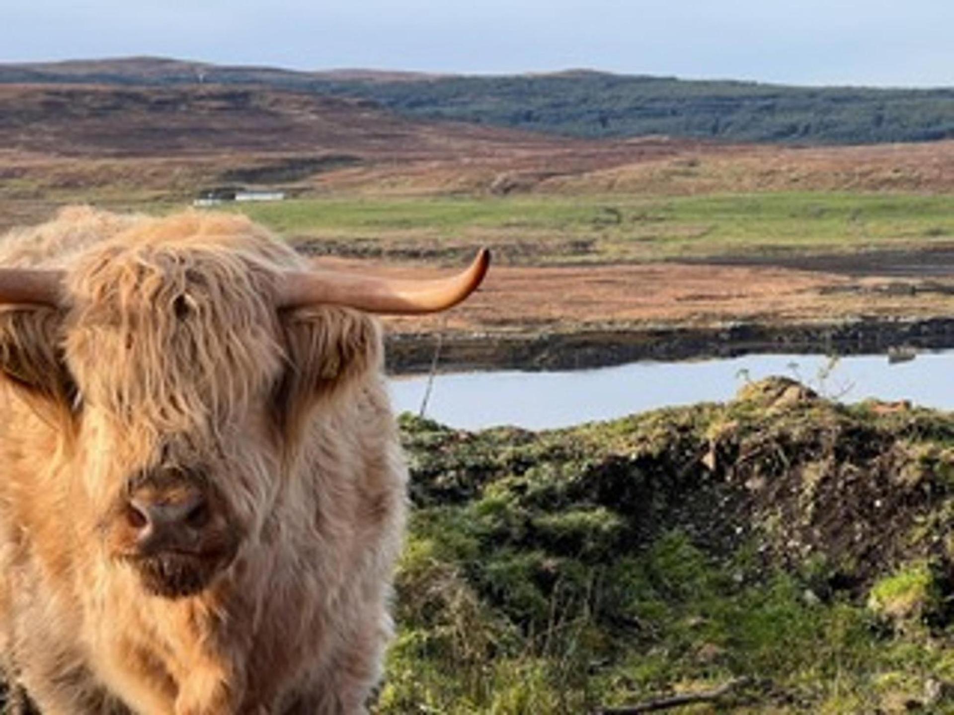 Вілла No 4 Old Post Office Row Isle Of Skye - Book Now! Eyre Екстер'єр фото